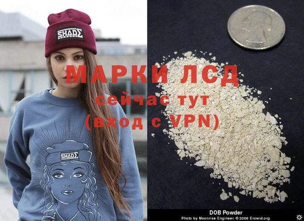 spice Гусь-Хрустальный