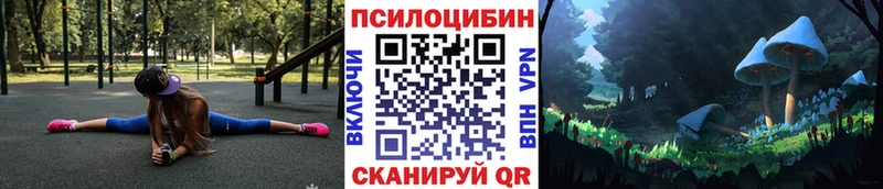 наркошоп Каменногорск Галлюциногенные грибы Psilocybe