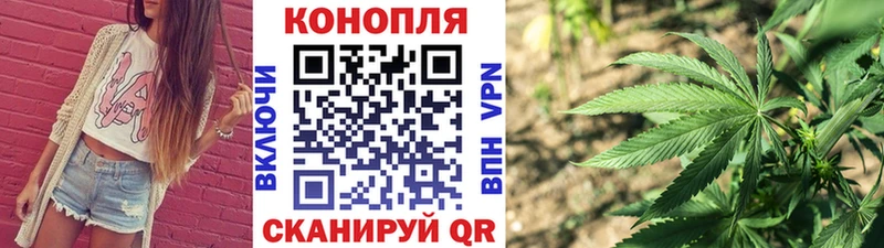 Бошки марихуана THC 21% Каменногорск